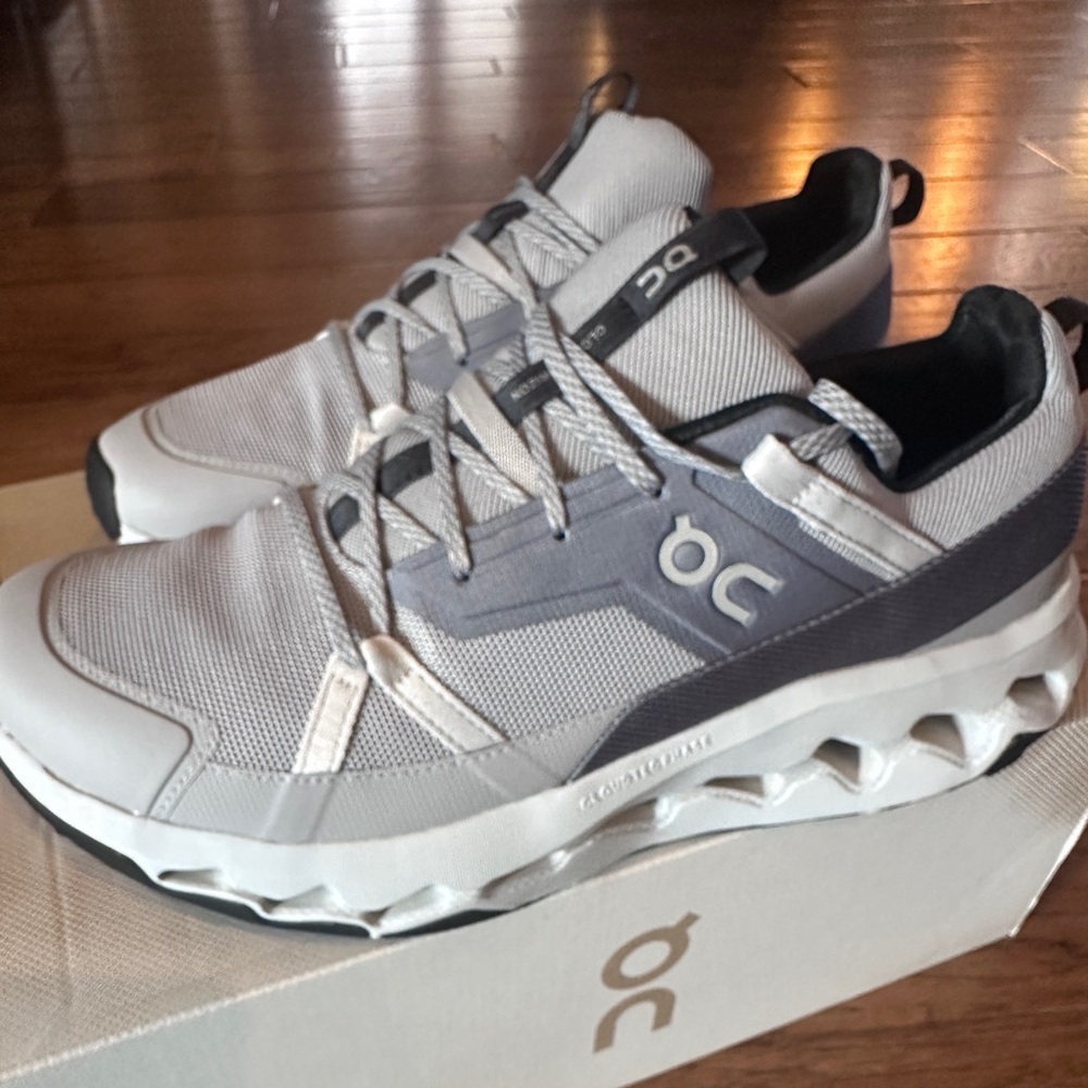 Men’s On Running Cloudhorizon Shoes